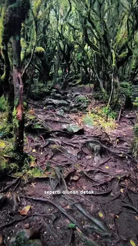 #gunungbawakaraeng2830mdpl #gunung terindah di Sulawesi 