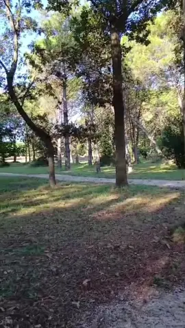 #fyppppppppppppppppppppppp 