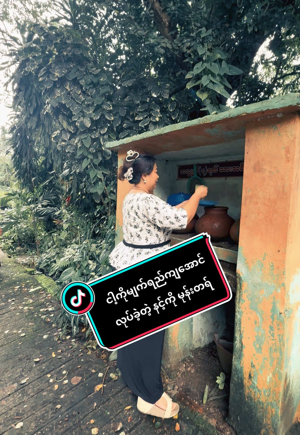 ငါ့က်ိုမျက်ရည်ကျအောင်လုပ်ခဲ့တဲ့နင့်ကိုမုန်းတရ်#သီချင်းလေးကြိုက်လို့ပါ #နေ့စဉ်ဘဝထဲမှပျော်ရတဲ့အရာများ #မြင်ပါများပီးချစ်ကျွမ်းဝင်အောင်လို့🥰🤭 #အပင်ချစ်သူ #viral 
