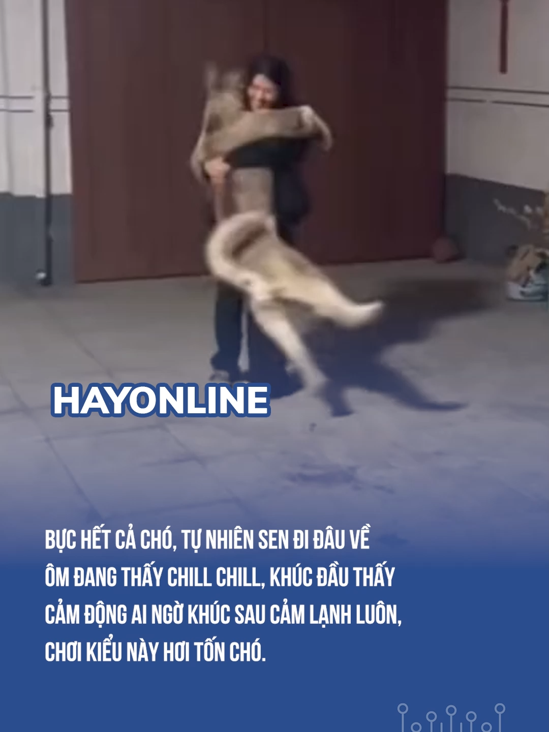 BỰC HẾT CẢ CHÓ, TỰ NHIÊN SEN ĐI ĐÂU VỀ ÔM ĐANG THẤY CHILL CHILL, KHÚC ĐẦU THẤY CẢM ĐỘNG AI NGỜ KHÚC SAU CẢM LẠNH LUÔN, CHƠI KIỂU NÀY HƠI TỐN CHÓ. Cre: vtin247 #hayonline #trending #viral #xuhuong #anhkhongthemchapdau
