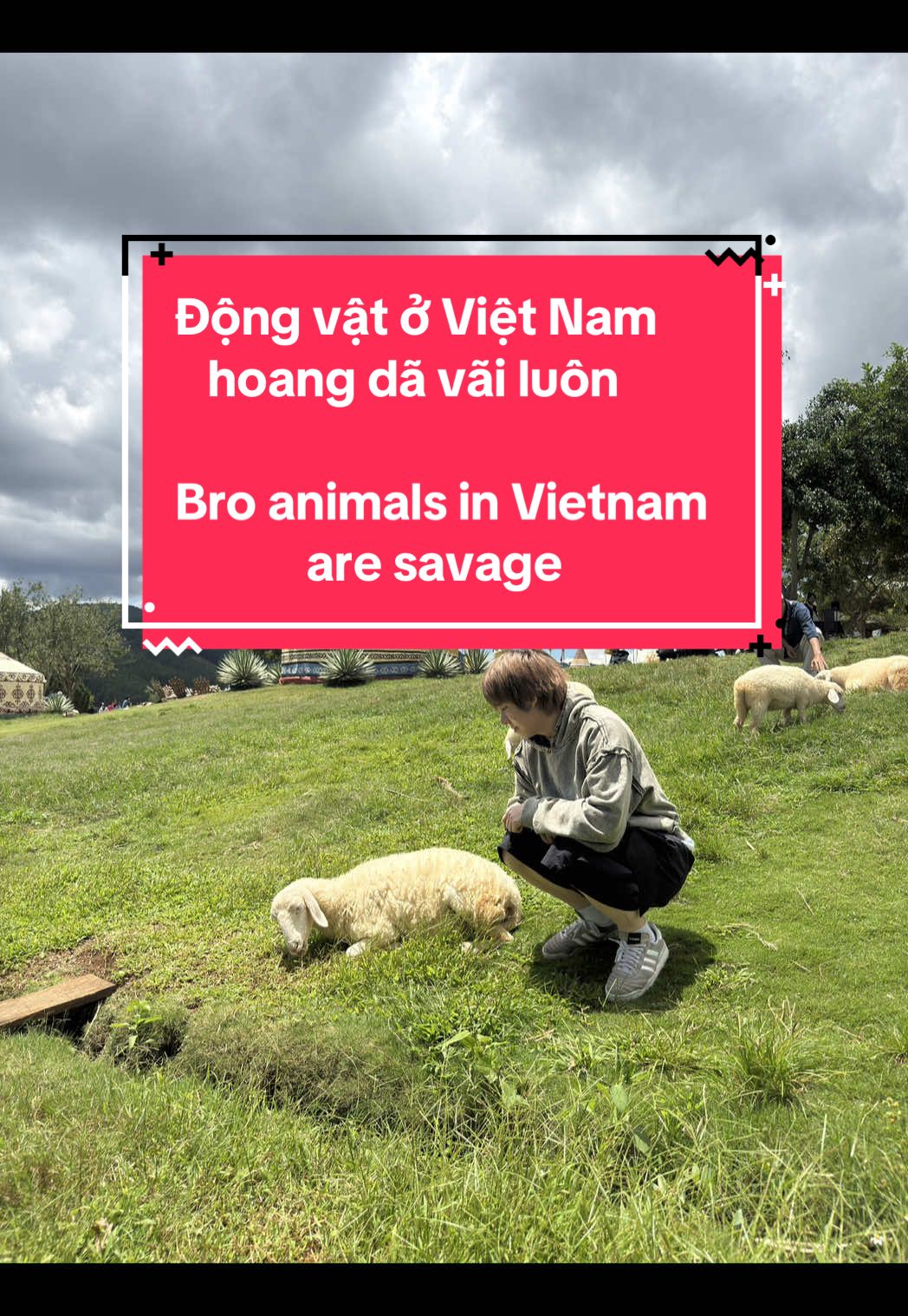 Did you hear what I heard? #vietnam #vietnamese #viral #fyp #vietnamtoiyeu 