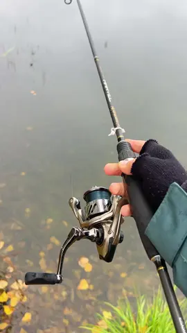 😍#микроджиг #рыбалка #окунь #fishing #🎣☀️ #фидер #щука #карпфишинг 