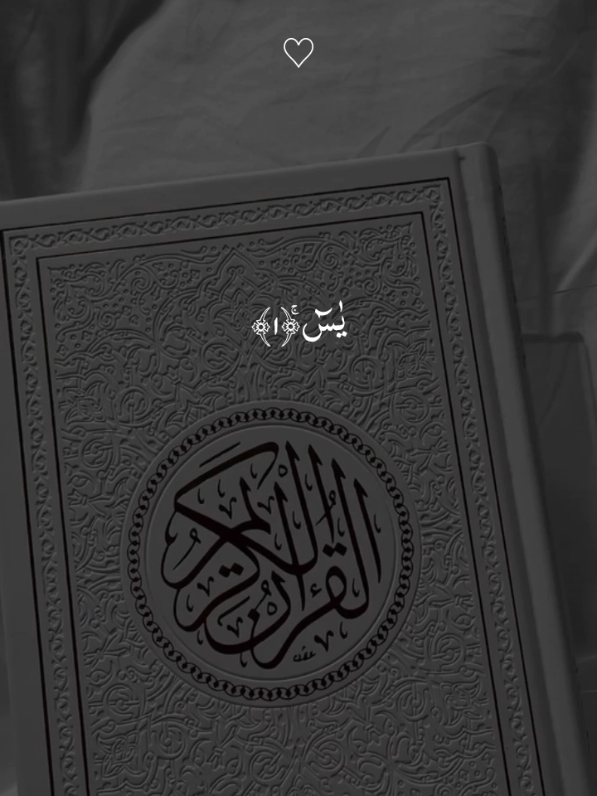 surah Yasin #quran #dailyquran #quranrecitation #quran_alkarim #france 