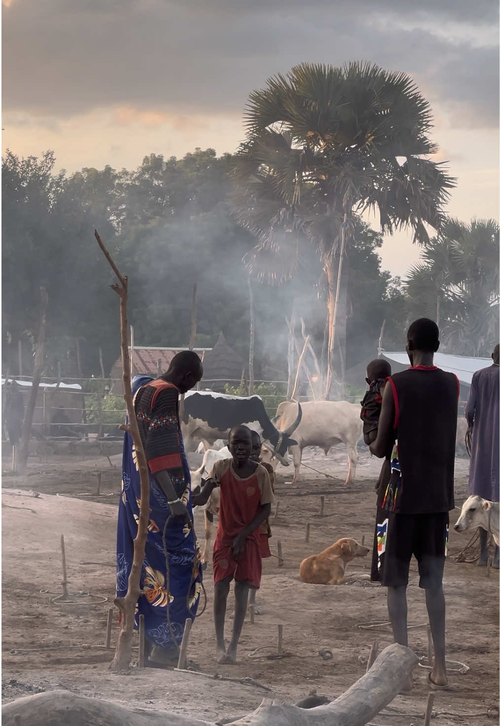 A session to a boy when goats are missing according to their culture 🇸🇸#cattle #africa #macxarblaxman #sudanese_tiktokمشاهير #southsudanesetiktokers🇸🇸🇸🇸🇸🇸 