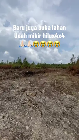 #sawitkalimantan #bossawitmuda #lahansawitbapak 