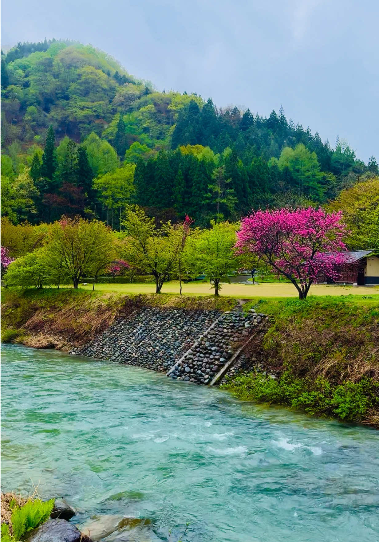 #japantravel #landscape #boost #結婚 #景色 