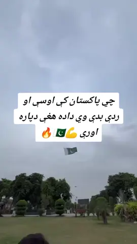 kha sahii 🇵🇰#viralvideo #unfrezzmyaccount #pakistani 