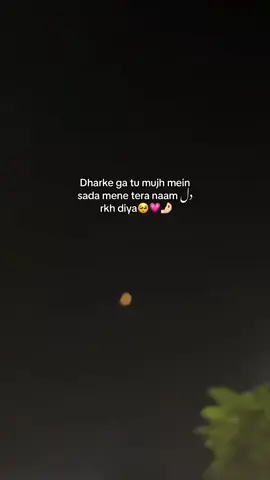 Maine tera naam dil rakhdiya❤️✨️ #dharkegatumujhmasada #fypage 