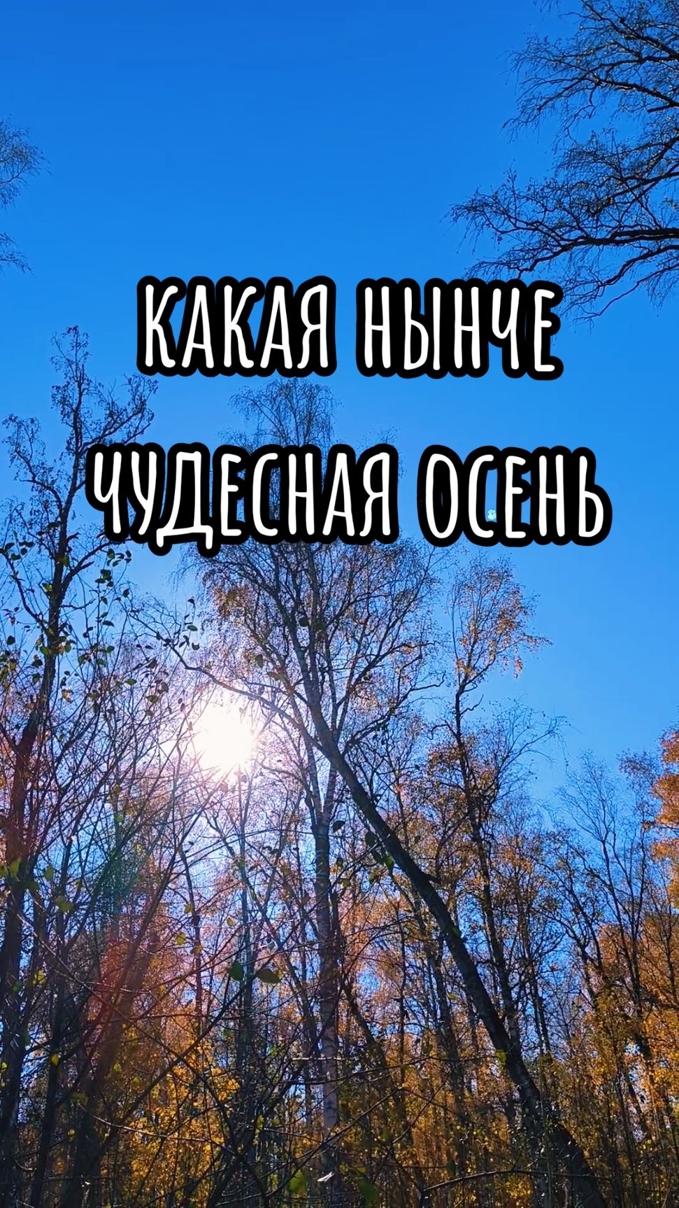#sunisshining #потрясающе #осень #сибирскийдауншифтинг #downshifting 