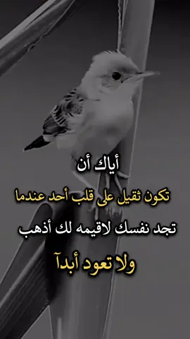 #اجمل_عبارة_راح_ثبتها📌 #عباراتكم_الفخمه📿📌 #افضل_عبارة_لها_تثييت 