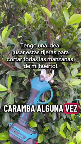 Tengo una idea: ¡usar estas tijeras para cortar todas las manzanas de mi huerto! #tool #motosierra #tijeras #huerta #construir