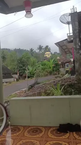 Suami pulang Ngepet #trucktebu #ngepet #berondong #homeliving 