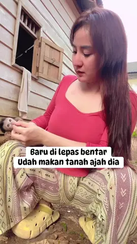 si baby makan tanah gaes 🤣🤣 #dailyvlog #promomakangajian #indahsari #hiburan #lucu 