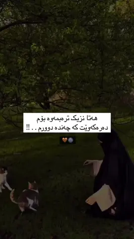 #quran #foryoupageofficiall #kurdistan #darbandixan🌼