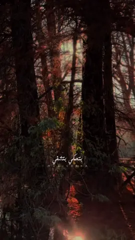 #هاتي_ايدك#wafikseif#musicxena 