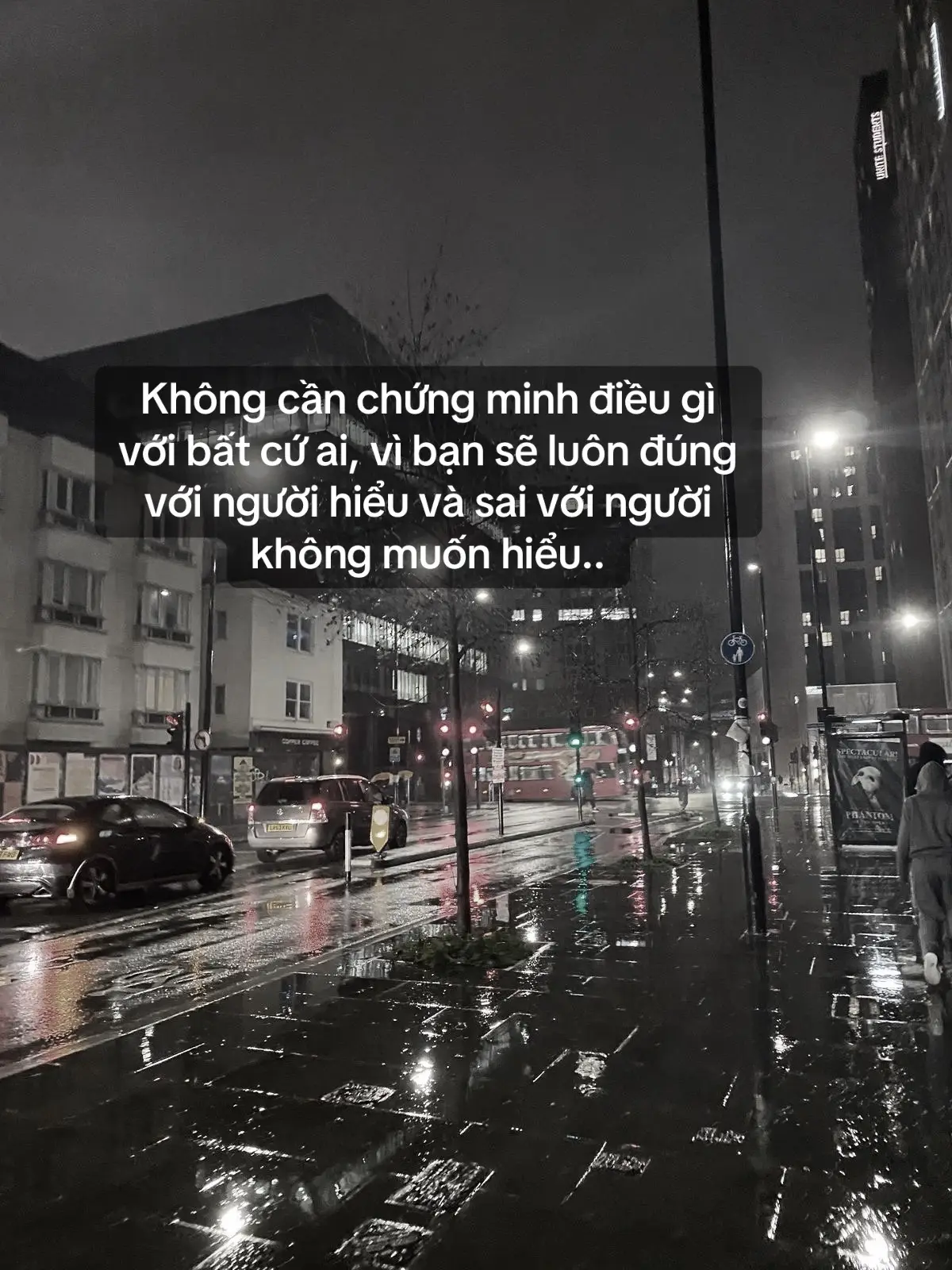 Không cần chứng minh điều gì với bất cứ ai, vì bạn sẽ luôn đúng với người hiểu và sai với người không muốn hiểu..#xuhuongtiktok #fyp 