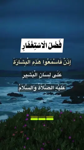 فضل الاستغفار حصنوا انفسكم احبتي ❤️🤲🏻❤️🤲🏻#fyp #viral #foryoupage #reels #explore 