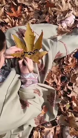 ham kashmiri han kashmir hamara ha #viral #foryou #standwithkashmir_foryou_viral 