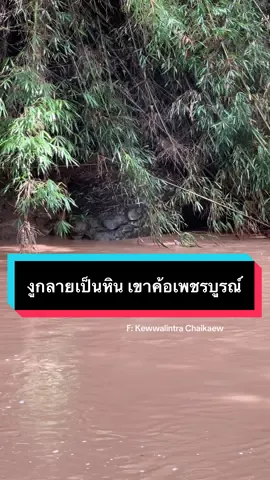 มาเห็นกับตาเนื้อแล้ว เหมือนจริงมาก ขนลุก 🙇🏻‍♀️ #หินคล้ายงูขนาดใหญ่ #สาธุ #งูใหญ่ #เขาค้อ #แม่น้ําเข็กน้อย 
