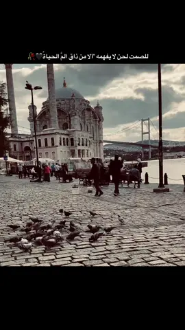 #ابو_مياار #تركيا🇹🇷اسطنبول 