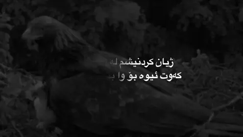 #talo_rash #foryou 