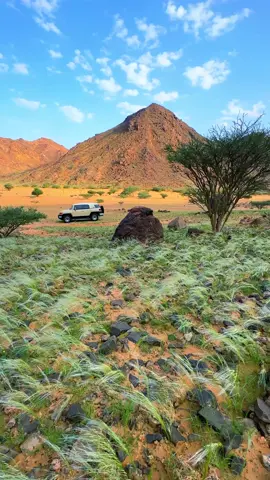 شمال #نجران 