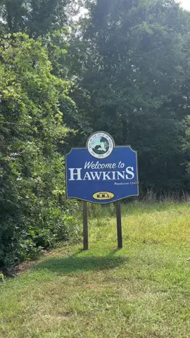 in honor of the new season coming out ✨ come with me to hawkins. only thing missing was steve 😭 #strangerthings #finnwolfhard #milliebobbybrown #fyp 