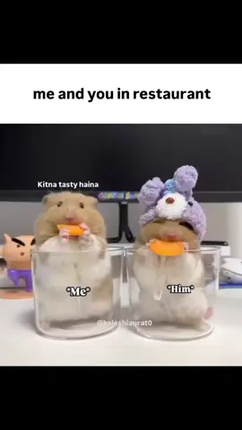 haji ya TU ap or mahi hai 