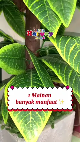 #littleharveyland #perlengkapanbayi #mainananak #fyppppppppppppppppppppppp #fyp 