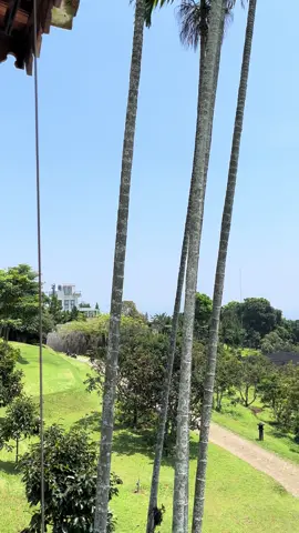 Lumayan buat prank temenmu, biar dikira lagi jalan jalan padahal mah dirumah 😂 📍 Alam Ngariung, Bogor #fyp #videomentahan #prankvideo #freefootage #staycation 