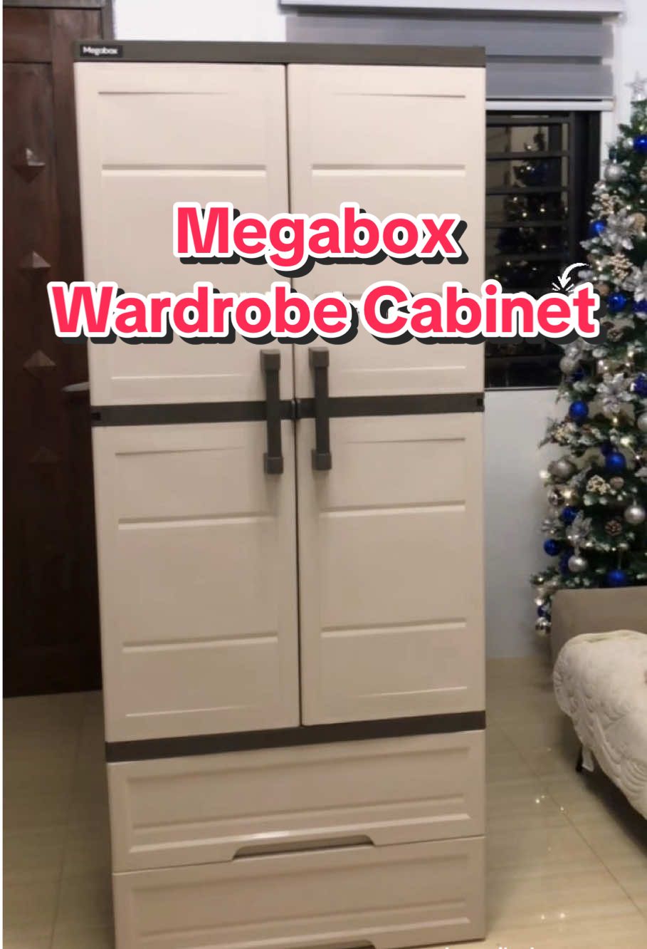 nakahanap din ng wardrobe na hindi inaamag at inaanay #megabox #cabinet #wardrobe 