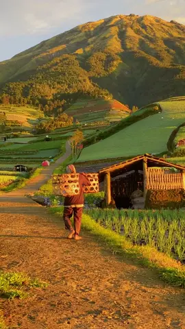 Surganya Magelang Sukomakmur  #sukomakmur #sukomakmurmagelang #sukomakmurkajoran #magelang #explore #wisata 