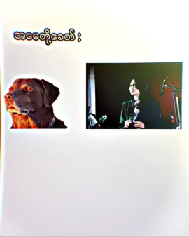 # ကိုစိုးကြီးရဲ့_telephone☎️# အများကြီးမပြောဘူးကျော်မသွားနဲ့# စော်ရှိရင် like ပေးရန်🌻# fyppp