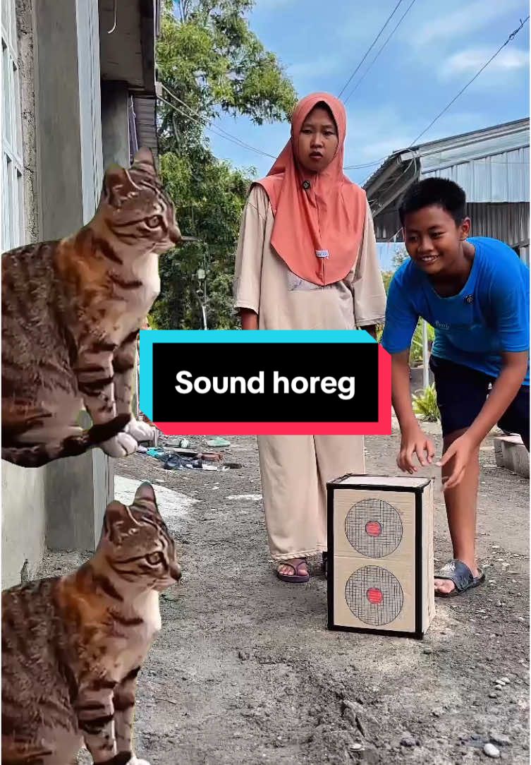 Pake Sound horeg{YouTube:zea dan Razka}#fyp 