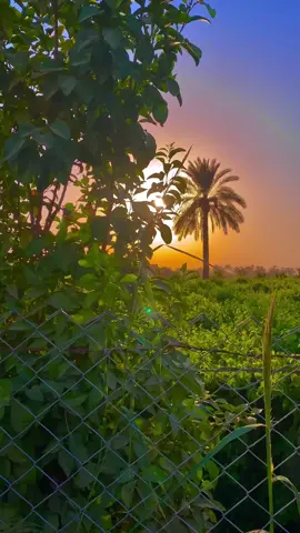 #مشاهير_تيك_توك #تصويري_وكطع📸 #Abu_Jood #عبارات_جميلة_وقويه😉🖤 #شعب_صيني_ماله_حل😂😂 