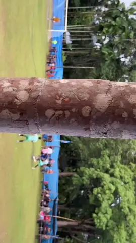 Gol berkelas pawang uno @nasrulcole #livehighlights #tiktoklive 