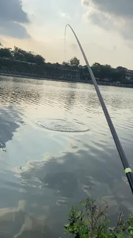 Nyore tipis spot s3 sak mene 🤲🏻#fyp #fyppppppppppppppppppppppp #mancing #mancingmania #mancingliar 