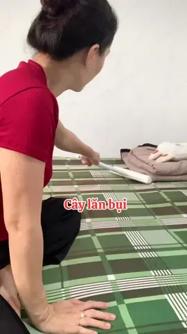 Cây lăn bụi#me7duacon #mebimreview #reviewthattam #câylanbui 