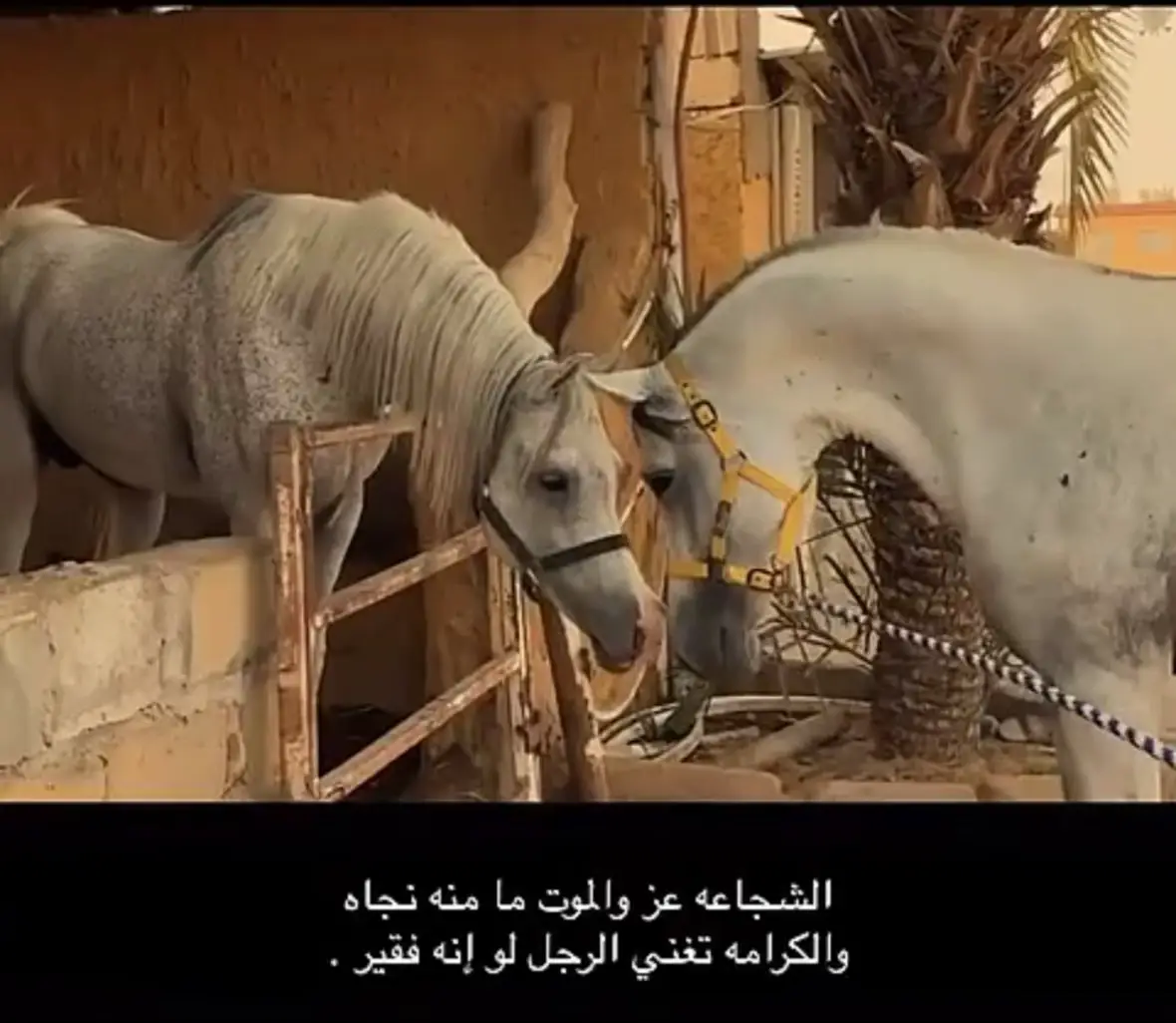 #مالي_خلق_احط_هاشتاقات 