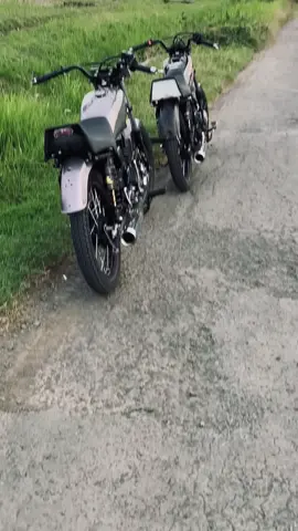 ☠️☠️