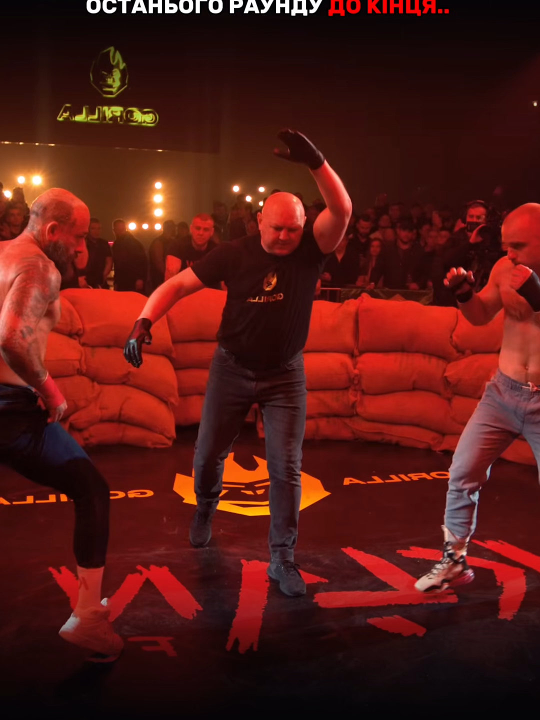 #рекомендації #хардкор #нокаут #бокс #ttgorilla24 #ttgorillatut