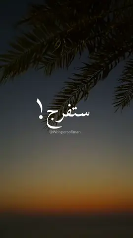 #🤍🌸 