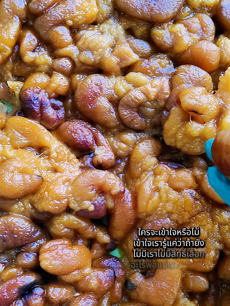 ไข่ปลาสลิดแดดเดียว