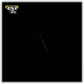 কিছু কিছু মন খারাপের কোন ব্যাখ্যা হয় না ! #foryou #foryoupage #lyricsvideo #fyp #bdtiktokofficial @TikTok @TikTok Bangladesh 