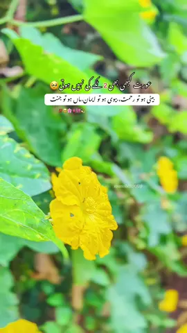 عورت کبھی بھی 2 ٹکے کی نہیں ہوتی۔🥹🫀 #foryou #unfreezemyacount #status #viral #growmyaccount @𝐀 𝐒 𝐈 𝐌 🤍🖇️ 