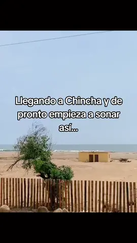 llegando a  Chincha  Ica