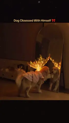 ❤🐕💫
