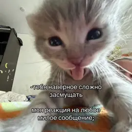 заходите в тгк #рек #щп #щитпост #щитпостер #милыйщп