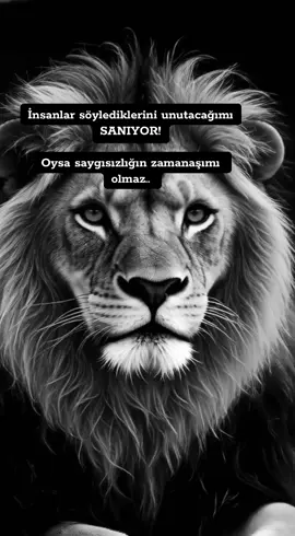 İnsanlar söylediklerini unutacağımı düşünme eğilimindedir. Oysa saygısızlığın zamanaşımı olmaz#insan #saygı #kurtlarvadisi #tulum #arslan 