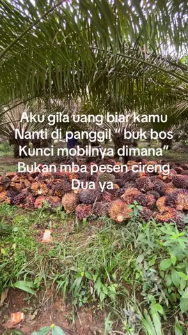 #tuanmuda #kulisawit 